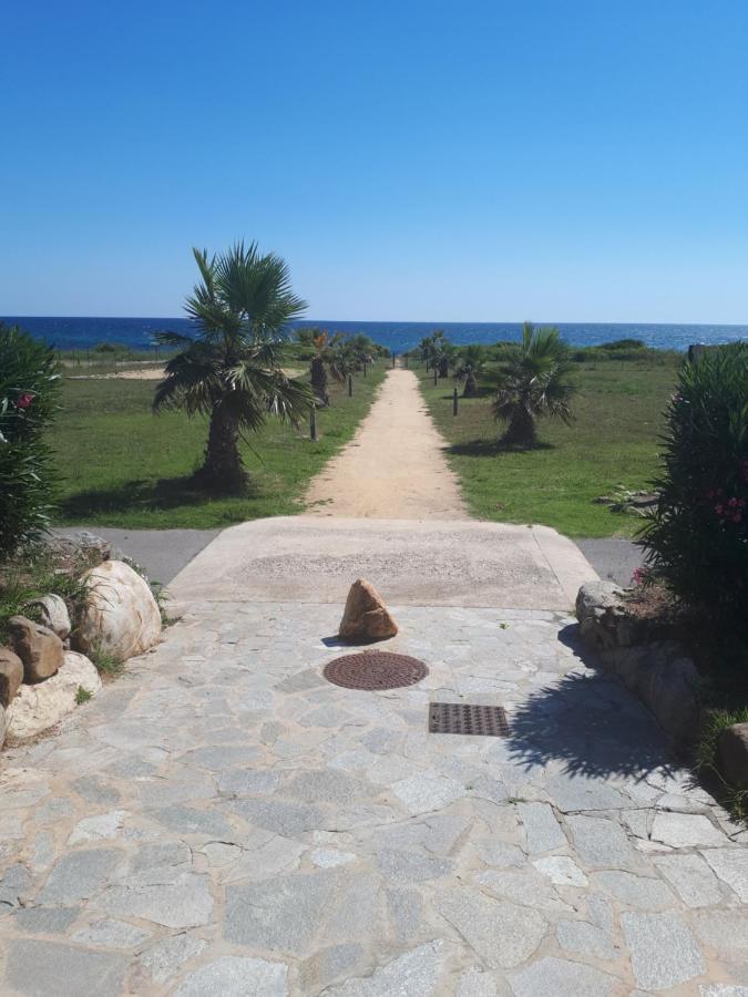 Villa Climatisee A Nuciola Prunete Entre Mer, Montagne Et Piscine Cervione Buitenkant foto