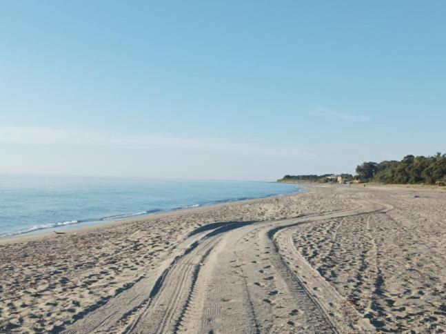 Villa Climatisee A Nuciola Prunete Entre Mer, Montagne Et Piscine Cervione Buitenkant foto