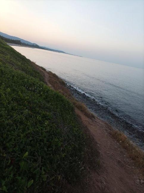 Villa Climatisee A Nuciola Prunete Entre Mer, Montagne Et Piscine Cervione Buitenkant foto