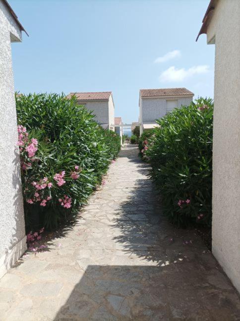 Villa Climatisee A Nuciola Prunete Entre Mer, Montagne Et Piscine Cervione Buitenkant foto