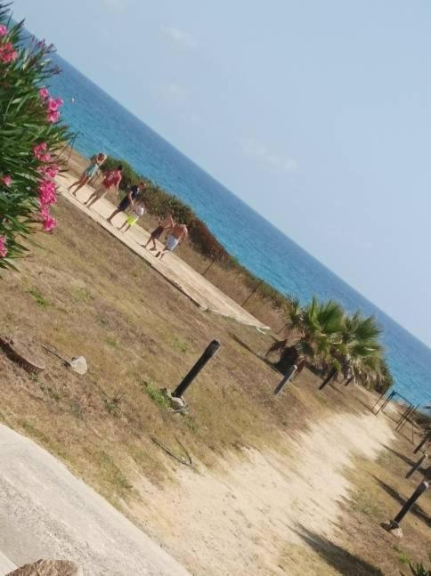 Villa Climatisee A Nuciola Prunete Entre Mer, Montagne Et Piscine Cervione Buitenkant foto