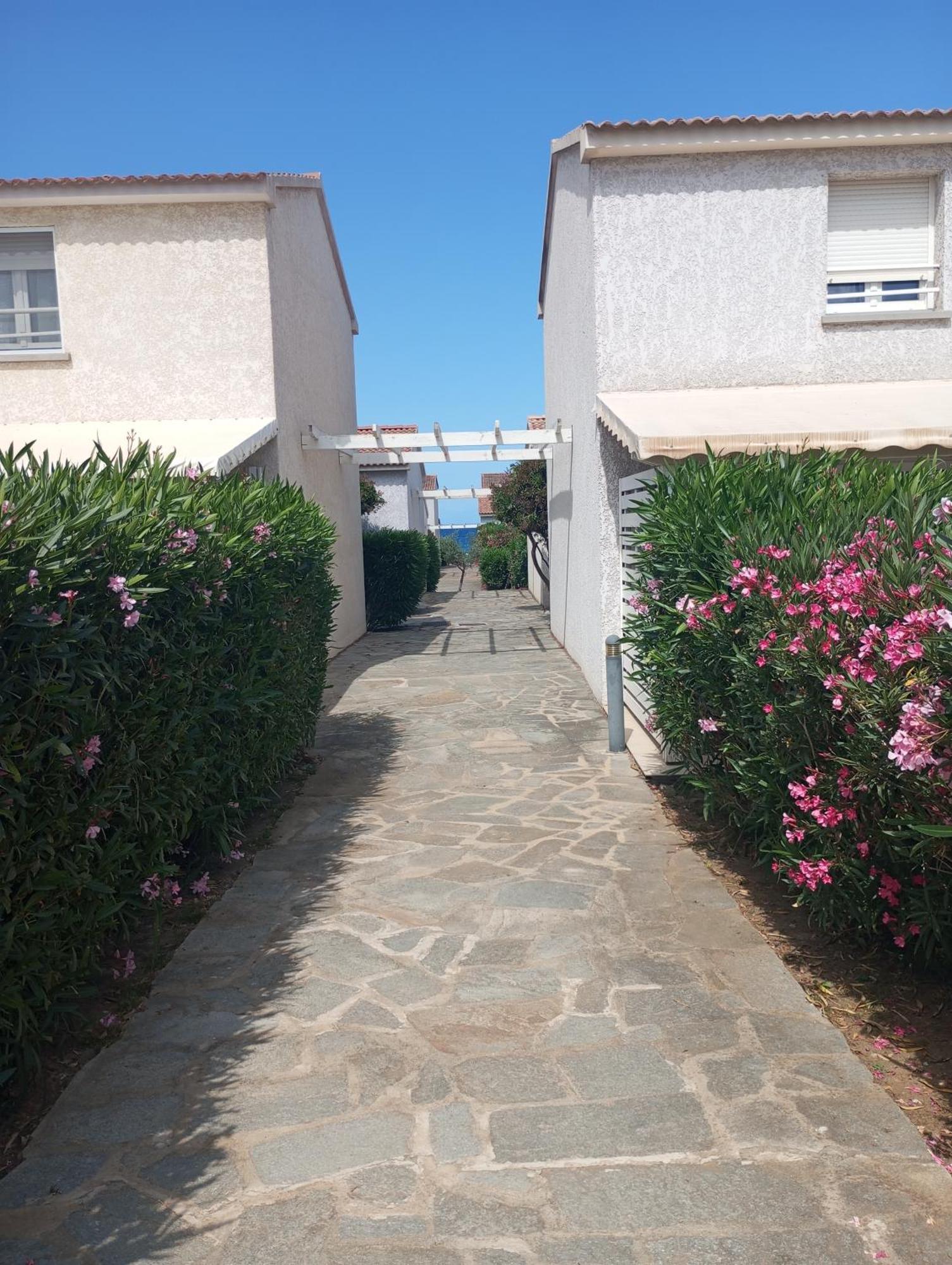 Villa Climatisee A Nuciola Prunete Entre Mer, Montagne Et Piscine Cervione Buitenkant foto
