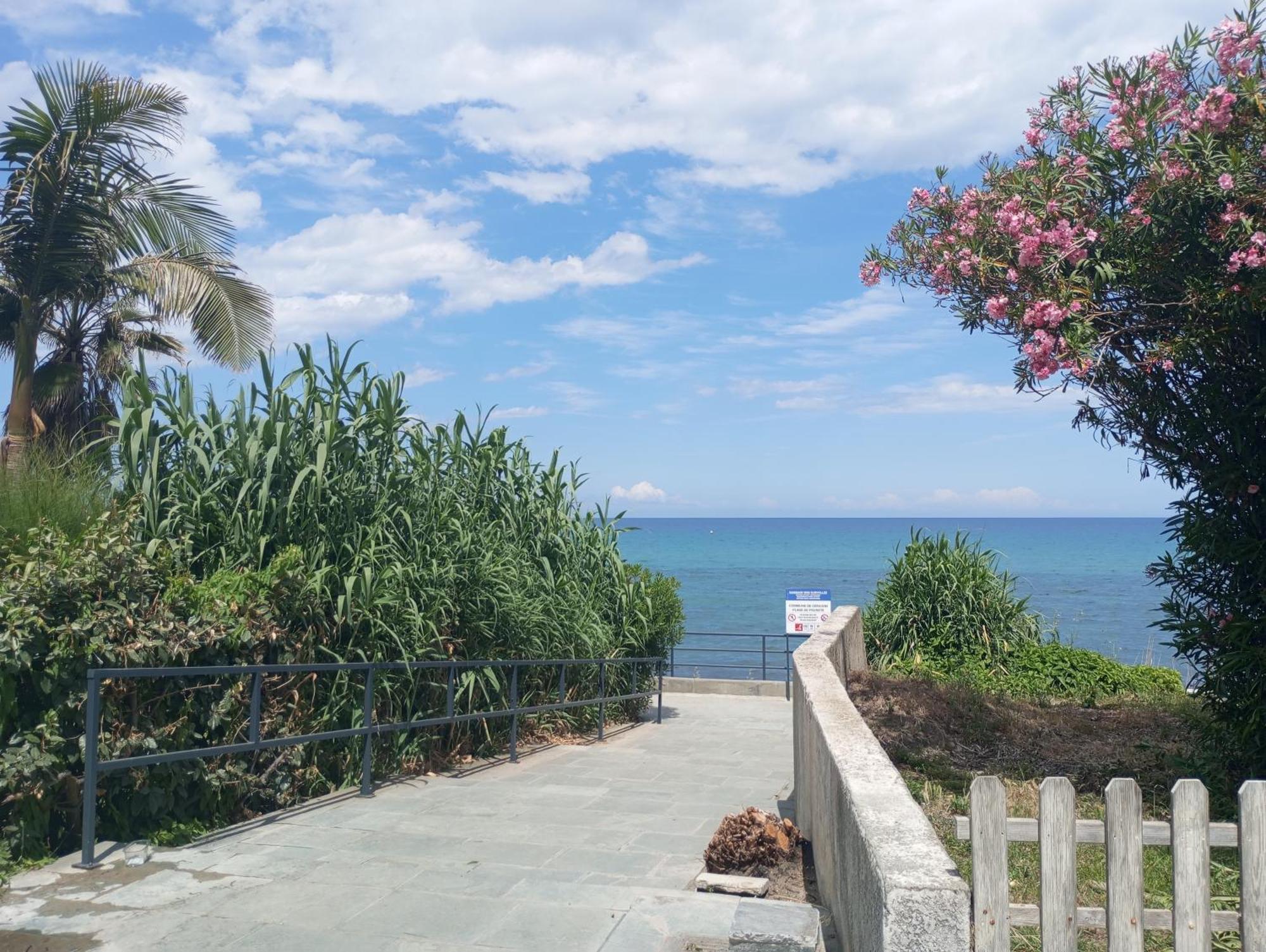 Villa Climatisee A Nuciola Prunete Entre Mer, Montagne Et Piscine Cervione Buitenkant foto