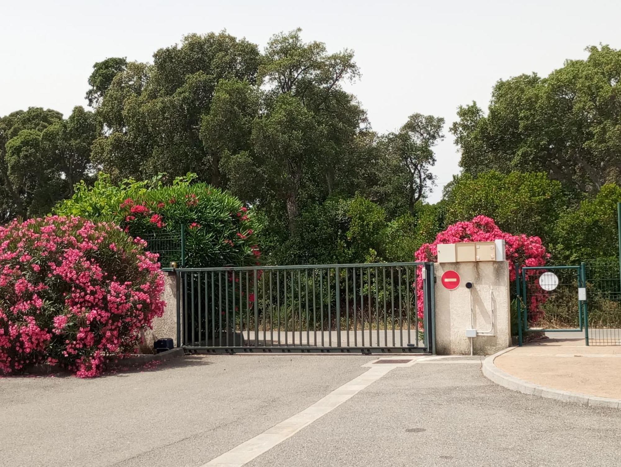 Villa Climatisee A Nuciola Prunete Entre Mer, Montagne Et Piscine Cervione Buitenkant foto