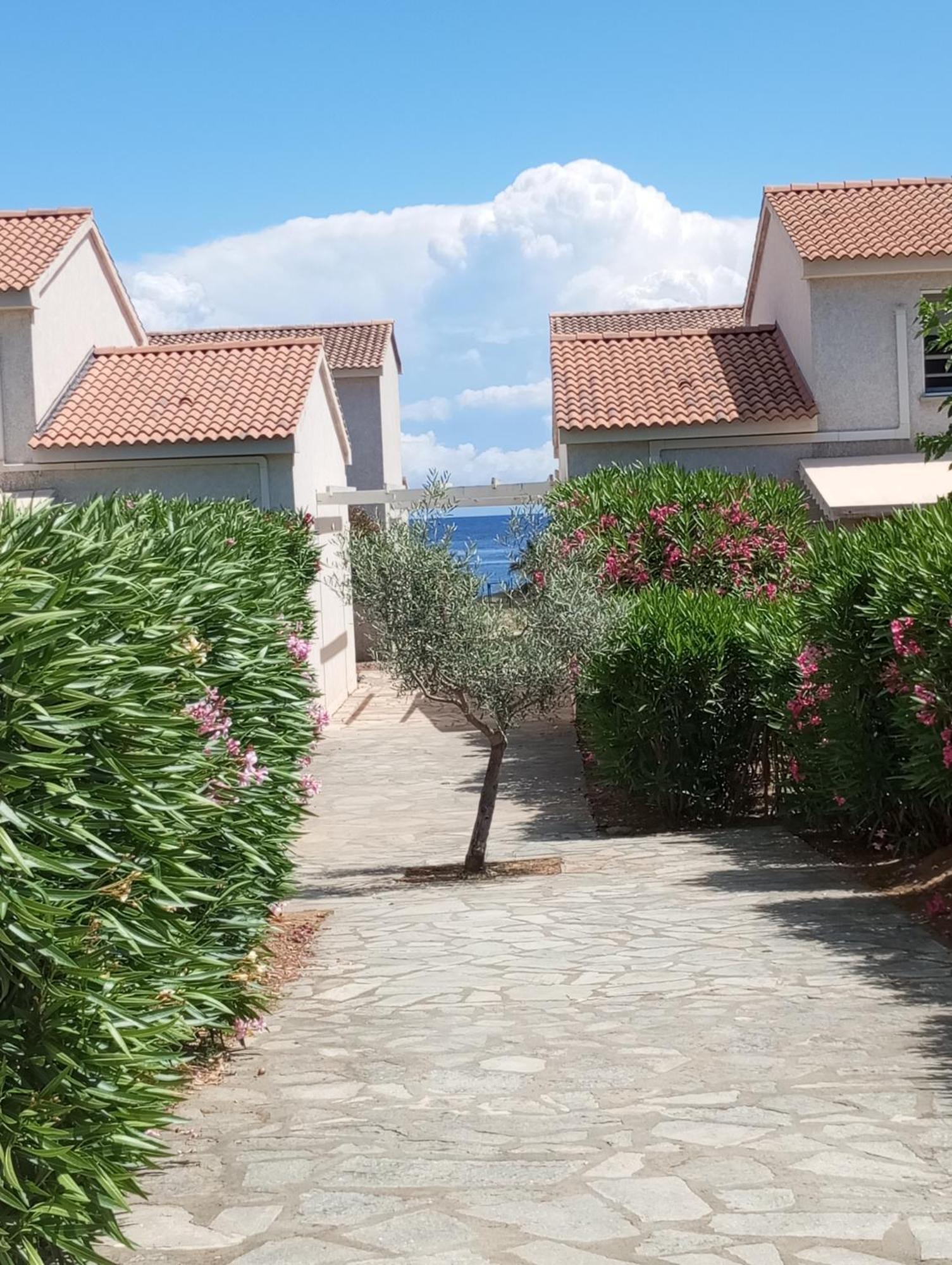 Villa Climatisee A Nuciola Prunete Entre Mer, Montagne Et Piscine Cervione Buitenkant foto