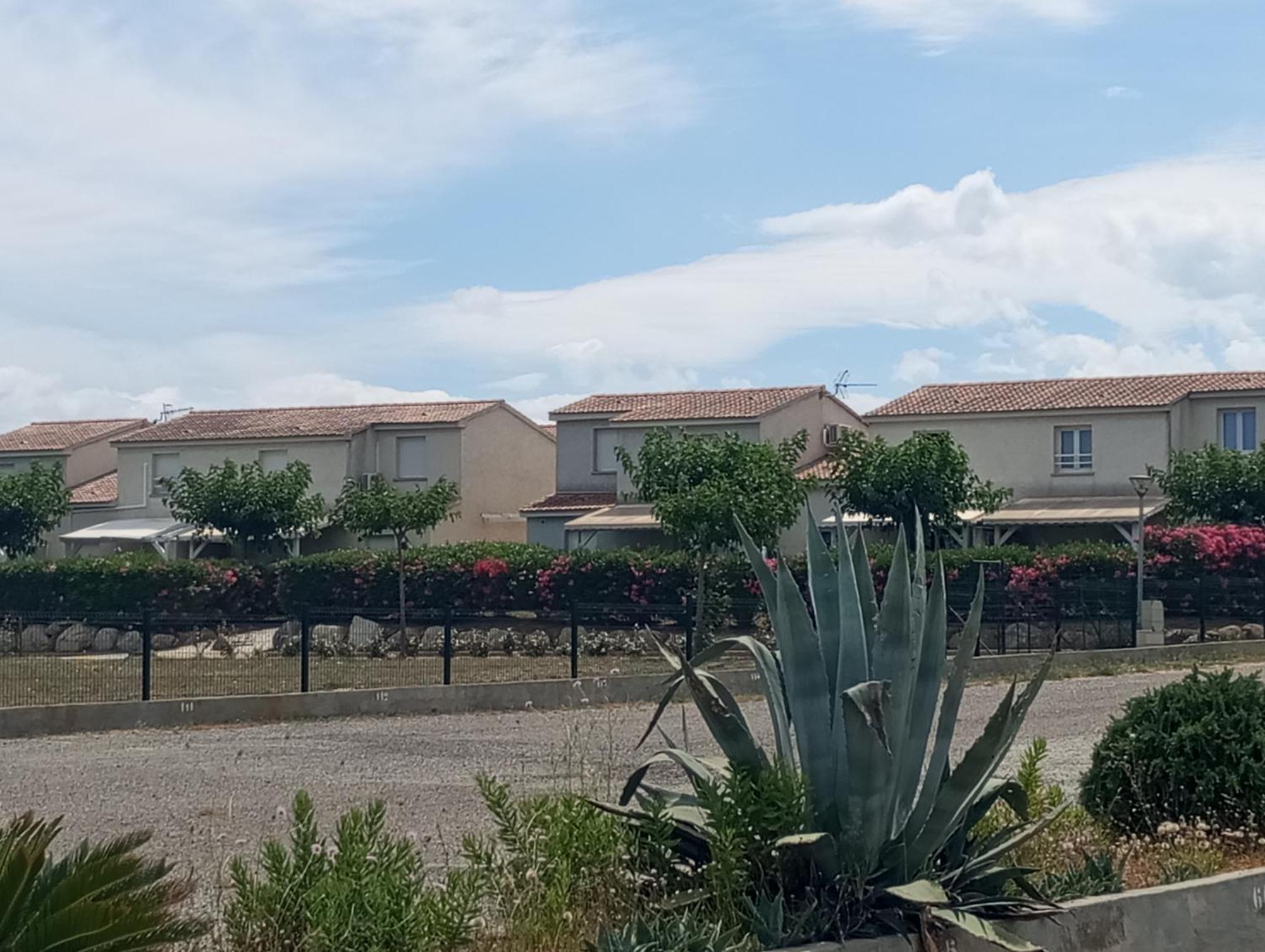 Villa Climatisee A Nuciola Prunete Entre Mer, Montagne Et Piscine Cervione Buitenkant foto