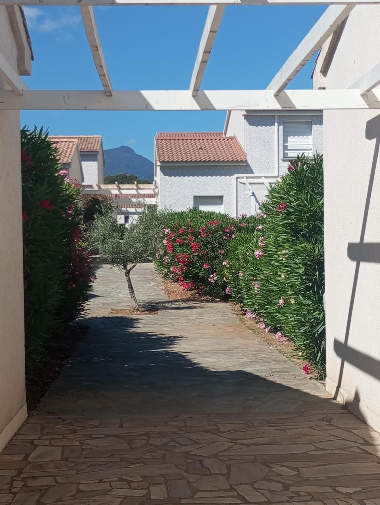 Villa Climatisee A Nuciola Prunete Entre Mer, Montagne Et Piscine Cervione Buitenkant foto