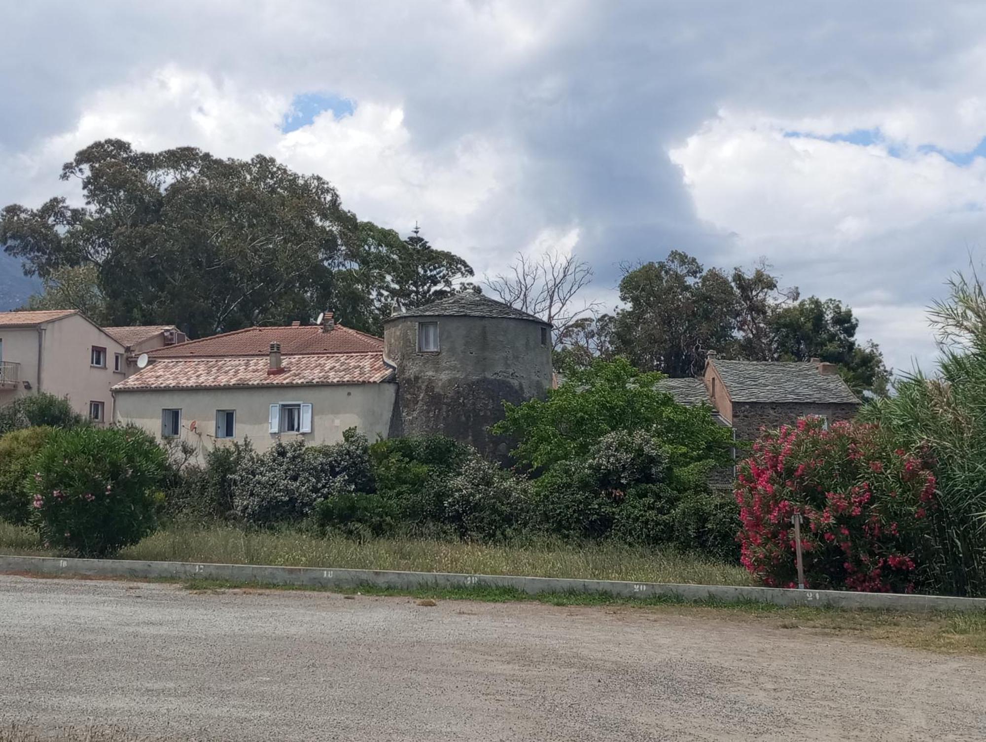 Villa Climatisee A Nuciola Prunete Entre Mer, Montagne Et Piscine Cervione Buitenkant foto