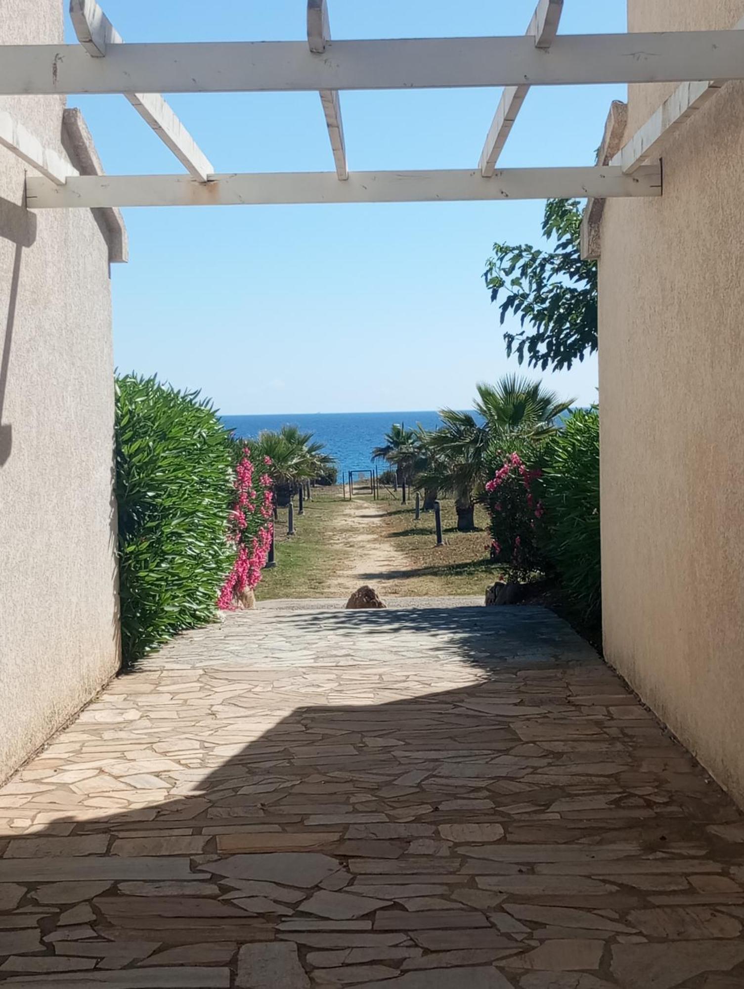 Villa Climatisee A Nuciola Prunete Entre Mer, Montagne Et Piscine Cervione Buitenkant foto